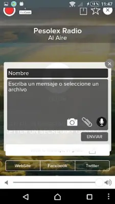Pesolex Radio android App screenshot 0
